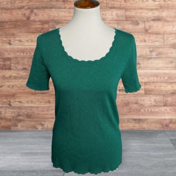 Ann Taylor LOFT Beautiful scallopped edge Short Sleeve Sweater Top☆ XL - Picture 13 of 13